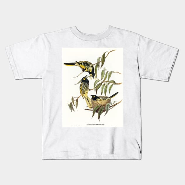 Red-backed Parakeet Kids T-Shirt by WAITE-SMITH VINTAGE ART